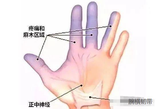 国粹传承