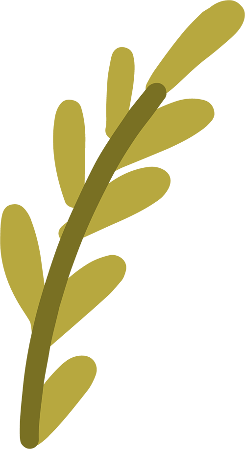 02.png