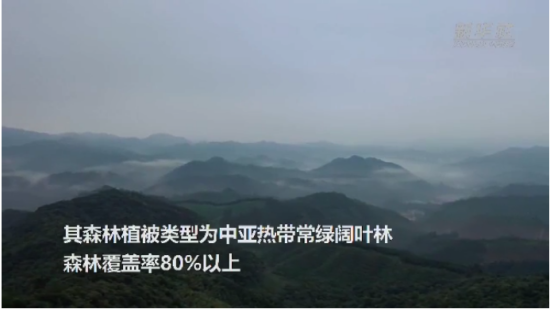 1731290029937.jpg